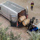 Image for article titled Stop Whatever You're Doing And Check Out The Sweet New Mercedes Sprinter Vans